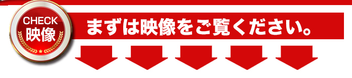 動画を見る